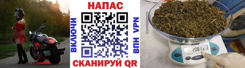 Каннабис индика Межгорье